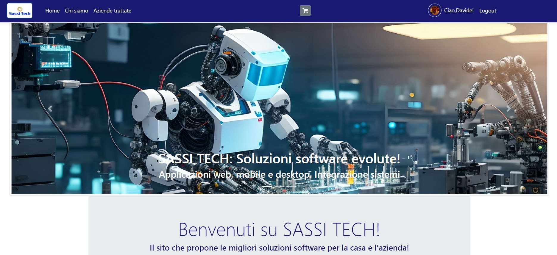 Sassitech1.jpg